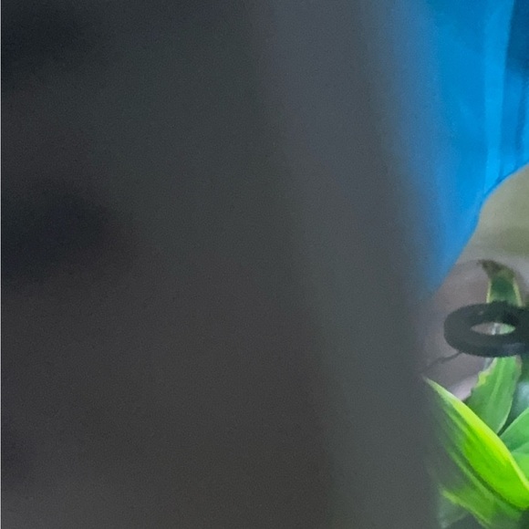 David’s Bridal Strapless Crinkle Chiffon Bridesmaid Dress size 16 Color Blue - Picture 9 of 14